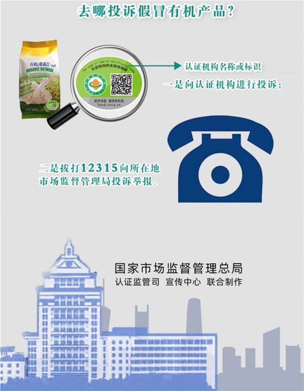 1569579718395556.jpg 10.jpg